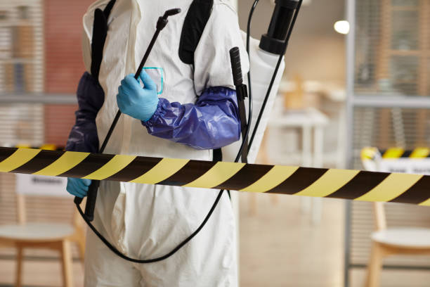 Professional Sewage Cleanup technician working in Springfield, PA