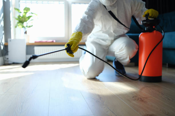 Reliable Sewage Cleanup contractor in Springfield, PA by Trauma Clean Pros